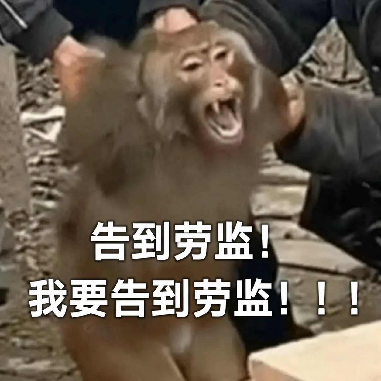 劳动仲裁